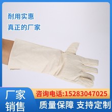 ĥ͸ߜĴoӼӺָLׄڱ׏S