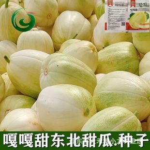 �¸���|����ϷN���S���ˮ���N�Ӵ����׷N���������r����Ʒ�N