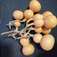 ��Ȼ���J��ͨ؛С�������控���^�������������S�����l