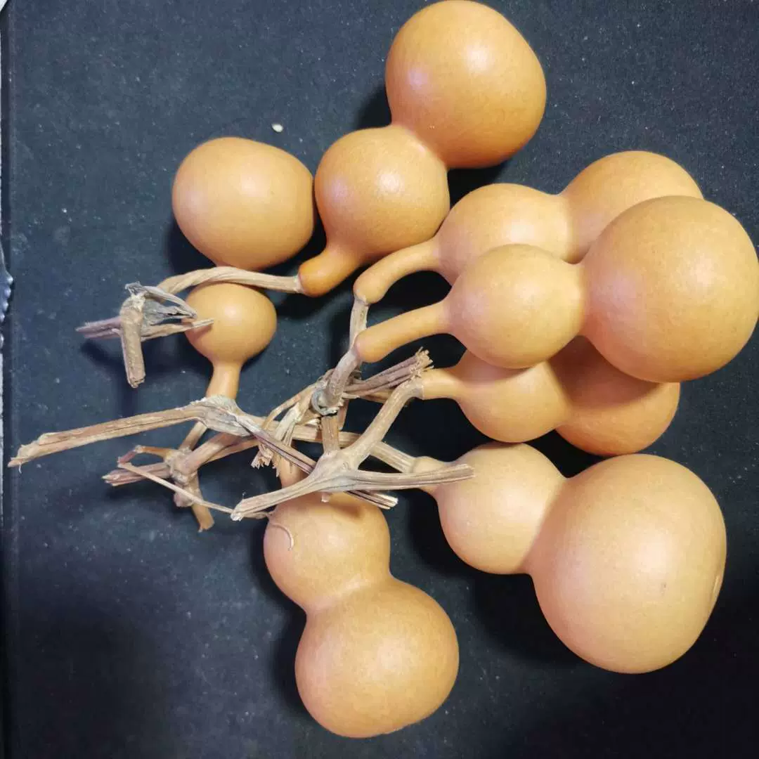 天然葫芦通货 小美国葫芦文玩带龙头 天津嘴葫芦手捻把玩厂家批发