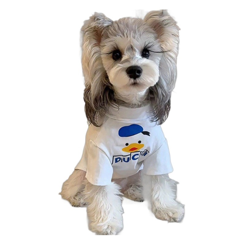 Mascotas, gatos, ropa de esterilización, medicamentos después de la cirugía, pantalones de destete, ropa de acoso anti-lamido, fabricantes al por mayor