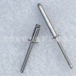(开票)工厂现货圆头304帽304芯全不锈钢拉钉 抽芯铆钉不锈钢拉钉