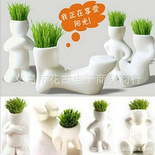 һ�����l DIY�k��������ֲ������ ��ݷNֲС���˲�����X���˶YƷ