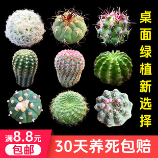 �������Ƕ��M���ײ��[�P�����ֲ�����������Ծ�β�������̨��̖