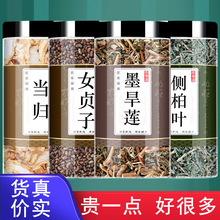 当归女贞子墨旱莲侧柏叶组合中药材各10g洗头包养发方加和泡茶水
