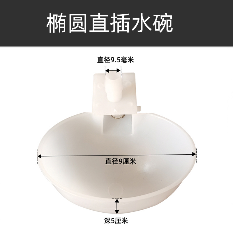 Tazón de agua de la paloma bebedor automático Loro Bird bebedor automático paloma caja de comida caja colgante bebedero