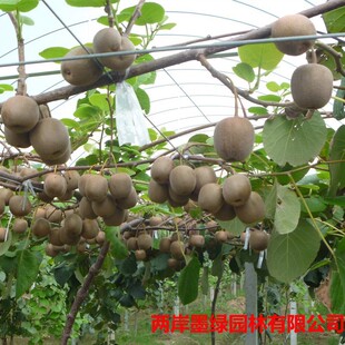 �J���Ҙ����޽�����t��ܛ���J�������Ϸ������Nֲ���J������