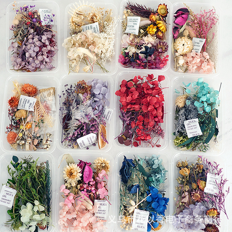 【现货花材包】天然滴胶diy幼儿园亲子手工课团扇画框贴画永生花
