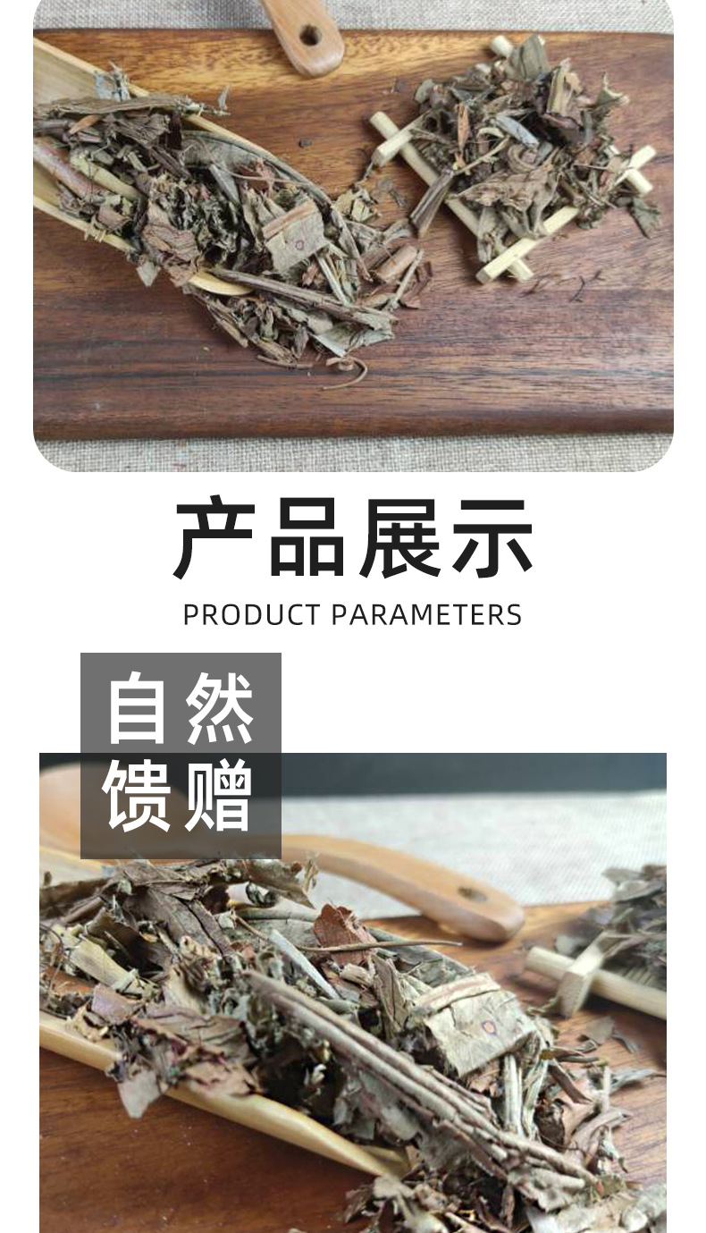 Dried Nepenthes Whole Herb Zhu Long Cao 500g Traditional Herbal Material quality and texture