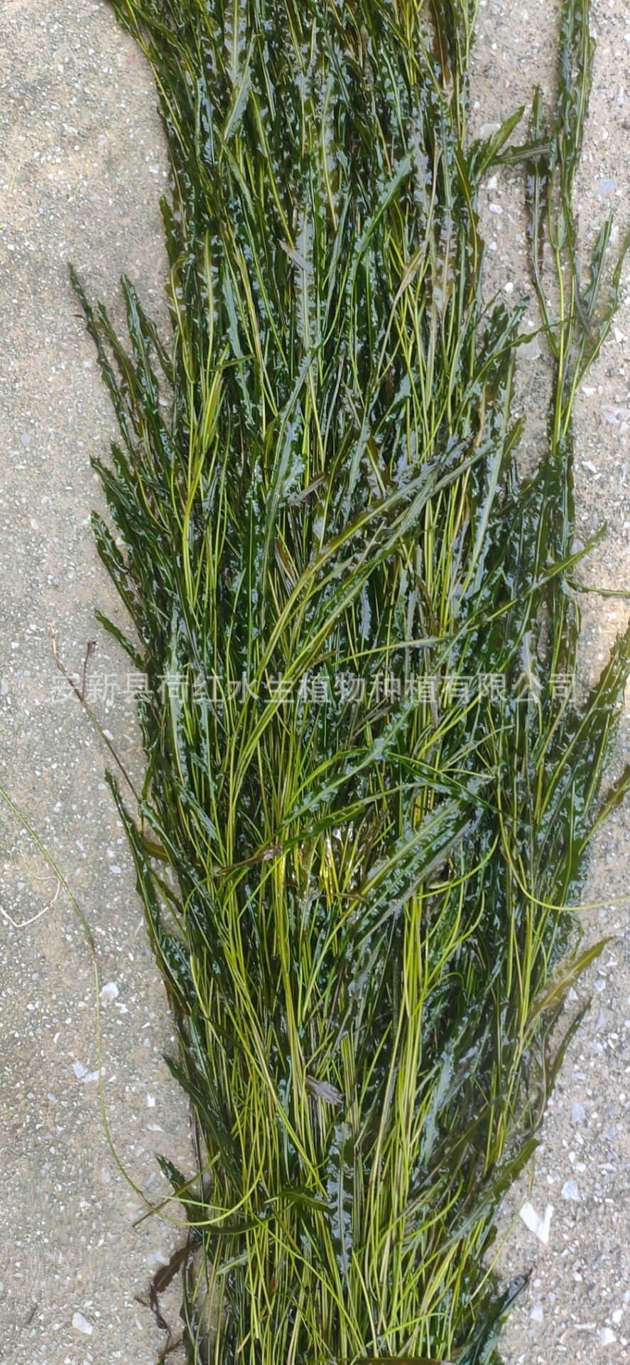 d6351e082cd922936c8e39127f9f68