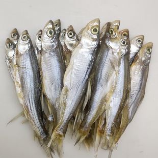 �����خa�חl�~С�~�е����~С���~С�חl�͗l�~��ˮ�~С�~�ɸ�؛