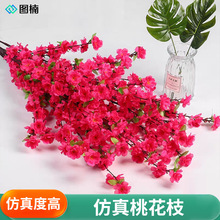 �羳�����һ�֦÷��֦�٘�֦���һ���c�b�֧���ϻ��S�����l