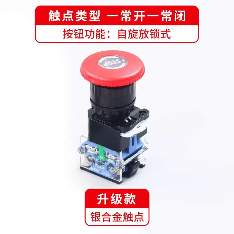 Switch key, button with clove mushrooms, 38