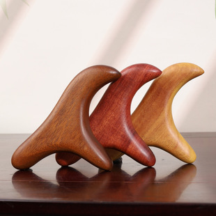 ��z̴ľ���ǹ���Ƭ̴ľ��Ħ�cѨ����ȸľ��ȫ����Ę���i�������j