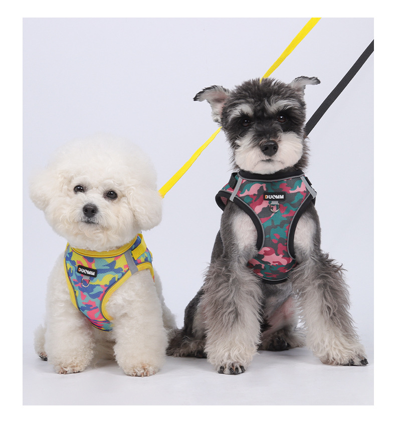 Tarnfarbene, reflektierende, atmungsaktive Hundeleine, Katzenleine, Welpen-Brustgeschirr für Bichon Frisés_voghion.com