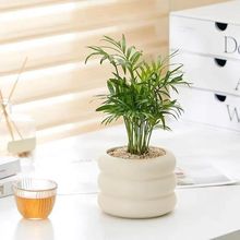 �lؔ������ֲ���҃ȿ͏d���B��ؔС���Ի����k����ˮ��GֲС�辰