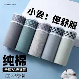 青少年内裤男抗菌男生发育期平角裤男孩中大童初高中学生四角短裤