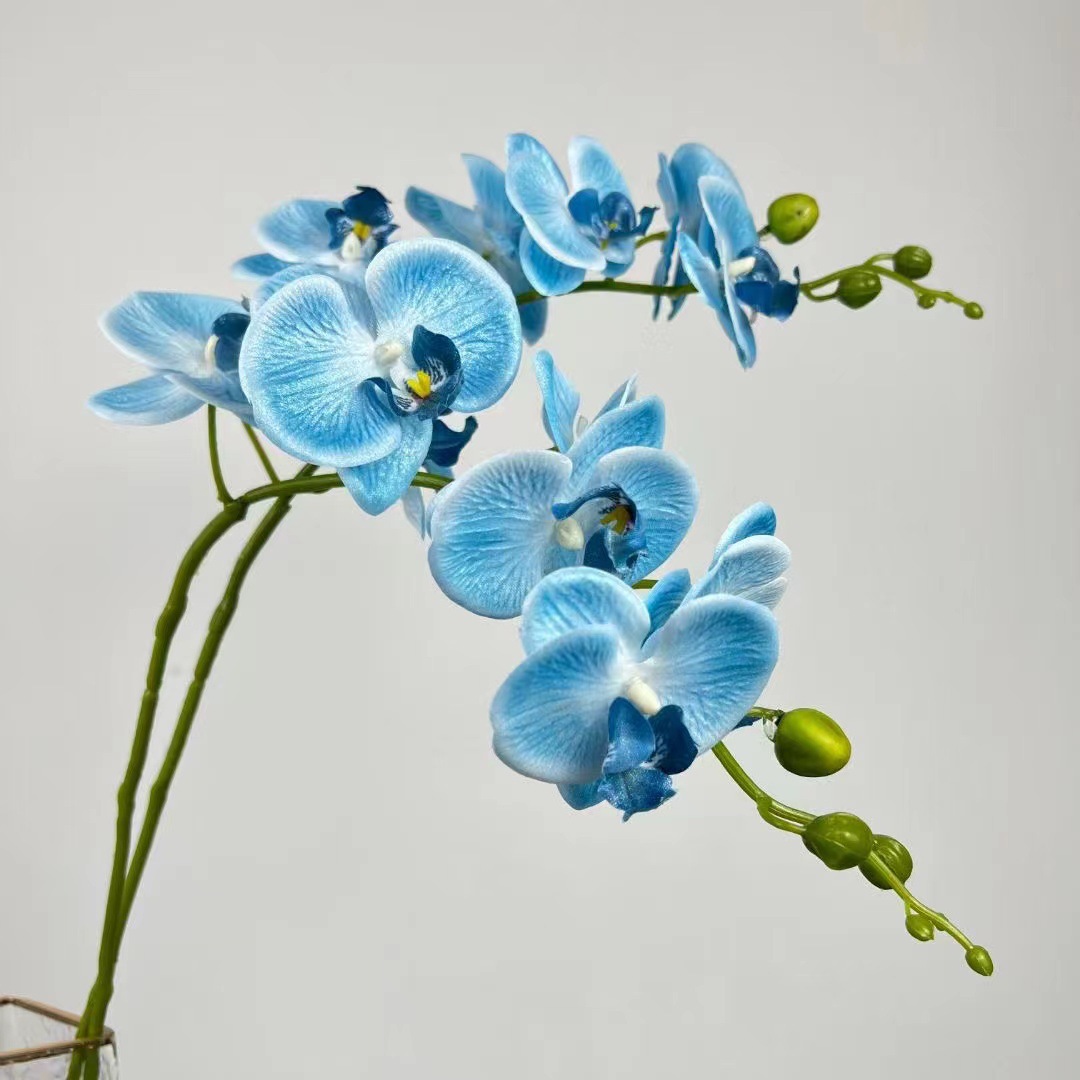 7头炫彩蝴蝶兰手感胶片打印家居摆件婚庆装饰假花花束绢花外贸酒