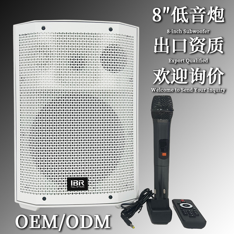Conference Room Bluetooth Active Subwoofer Speaker 8inch Karaoke Speaker Band Stereo Surround Sound System Audio System Conference Room Bluetooth Active Subwoofer Speaker 8inch Karaoke Speaker Band Stereo Surround Sound System Audio System
