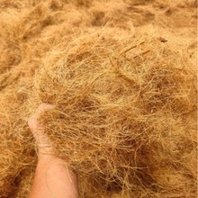 ������ȻҬ�ؽz ���l䁉|�@ˇ����ֲ�������b��踲�w���ʯ