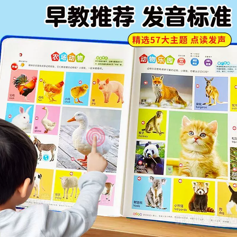 Аудиокнига-навык-слушание школьная обучающая игрушка с звуком, 0–9 лет, версия с зарядкой