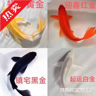 �~�^�p�~�S�\�����~���~�\����ˮ�~С�͵�ˮ�~���B�ͻ���\��