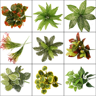 ����ֲ��Gֲ����� ާ�˹�ݾ��^�b�����Сֲ�ﻨ�����