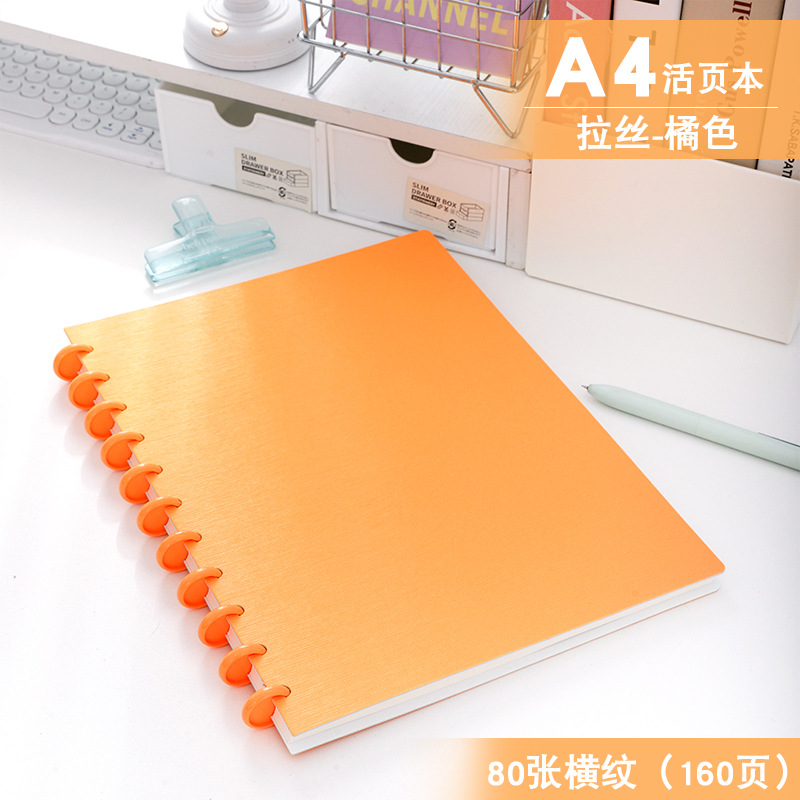 A4 브러시드 오렌지