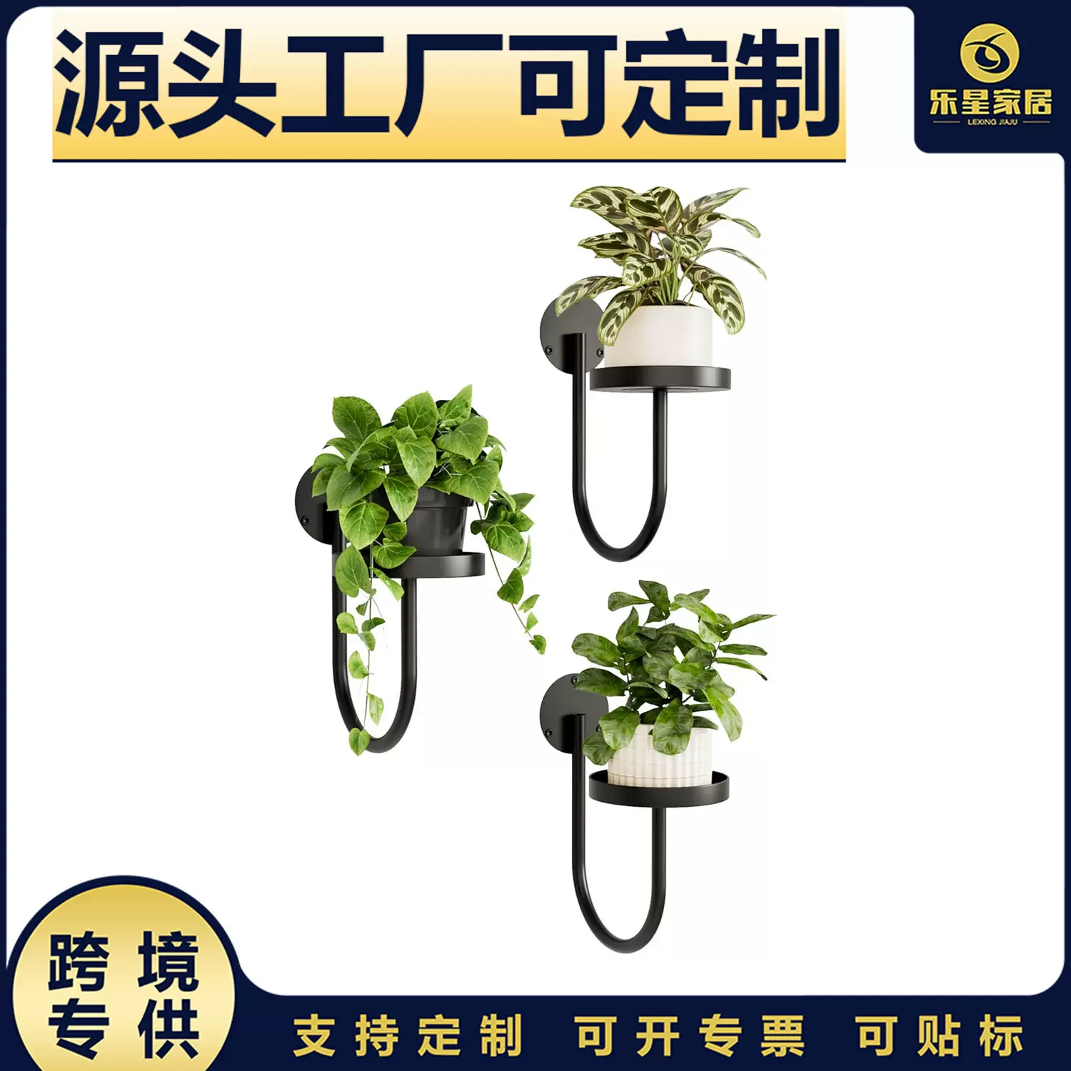 亚马逊窗式植物架轻奢风室内室外壁挂花盆花架墙壁装饰花卉展示架