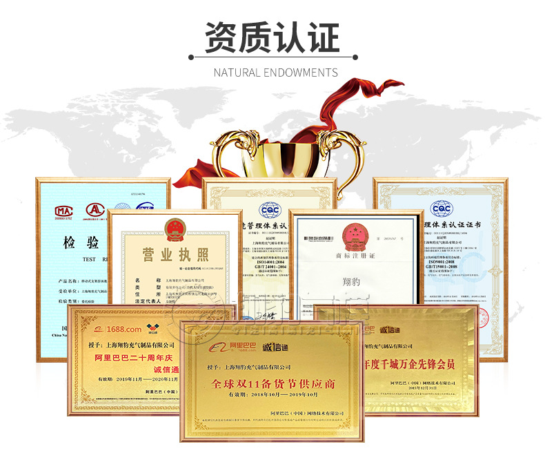 翔豹最终(2024)_05