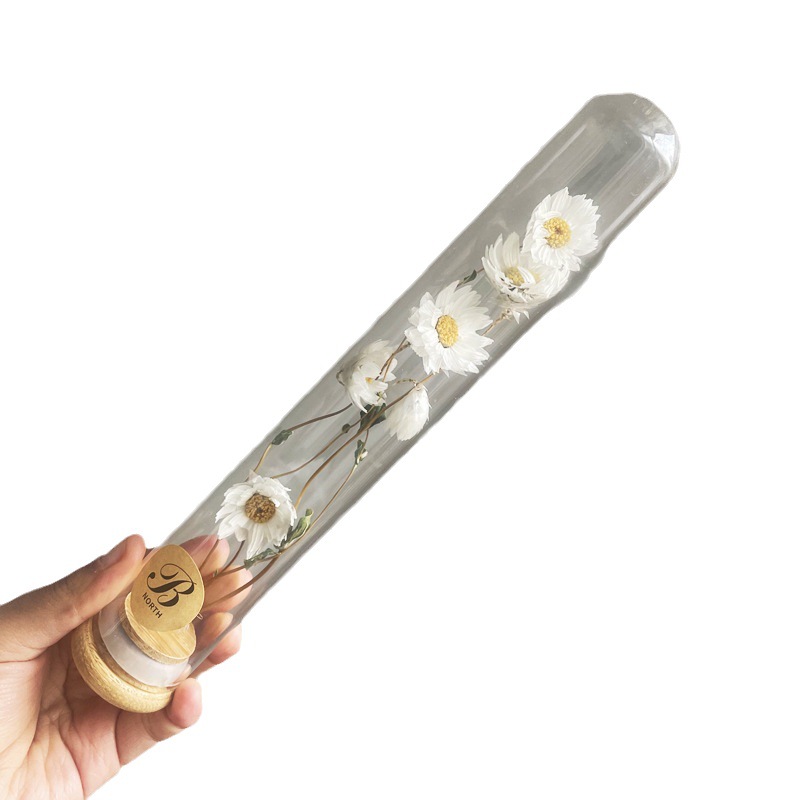 Cubierta de bambú sellada tubo de ensayo de vidrio de borosilicato planta espécimen flor seca ramo de almacenamiento cubierta de vidrio decoración decorativa tubo de ensayo