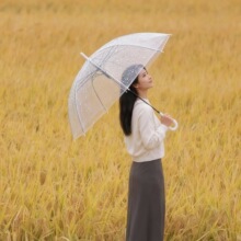 透明雨伞厂家批发直杆半自动透明伞塑料一次性雨伞可印LOGO广告伞