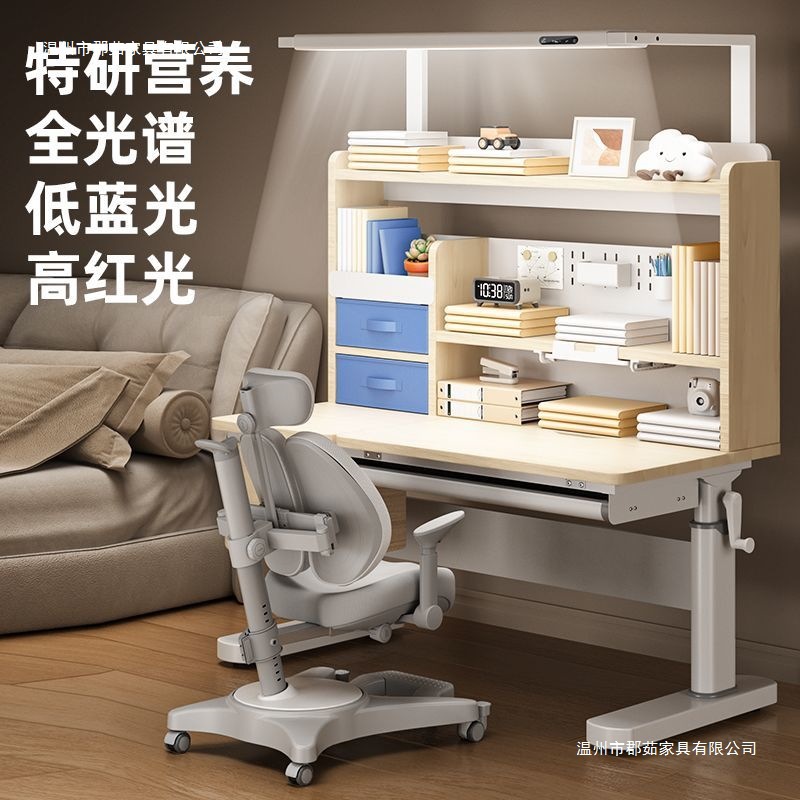 German Children's Study Table Solid Wood Writing Desk Student Desk Home Desk and Chair Liftable Table