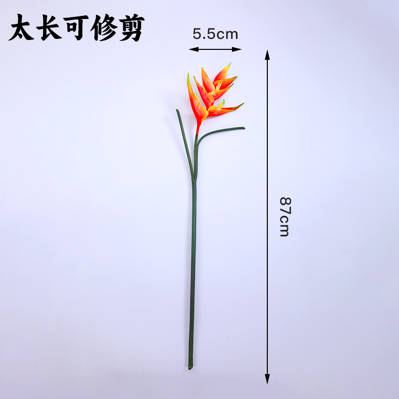 酒店菜品摆盘装饰点缀冷菜装饰花草摆盘刺身绿毛球三文鱼摆件围边|undefined