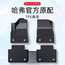ר���ڹ���H6��M6H1H2H7F7��������MAX�������޳�������ŵ�tpe