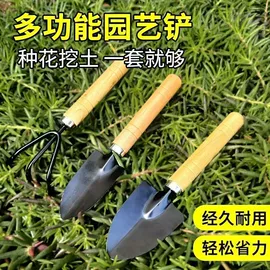 清洁球/刷;厨房小工具;衣钩/挂钩