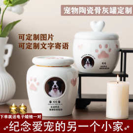 宠物离世纪念品大号骨灰盒狗狗猫咪陶瓷灰骨罐带照片密封潮