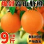 湖南湘西大果新鲜脐橙