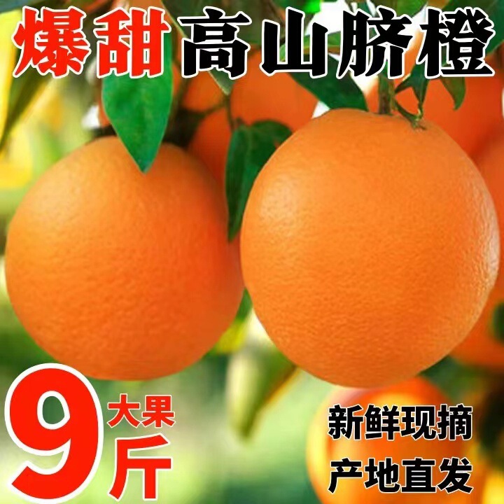 Authentic Fengjie Navel Oranges 25 Seasonal Fruits Fresh Navel Oranges for Pregnant Women Large Fruit Whole Box Sweet Jelly Oranges Jiangxi Gannan