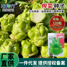 �S�����lե�˷N�Ӹ����˷N����n�ݲ��ϱ���ե�˼�ͥ�Nֲ�߲���