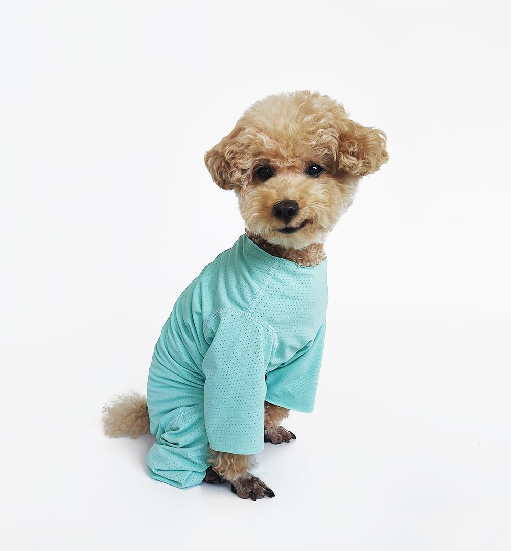 Svalkande hundklänning för bichon solskydd och insektskydd_voghion.com