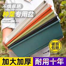 �L���ηN��������ݮ�Ӻ�Nֲ���̨�̨����������֬