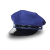 Unparalleled blue anise