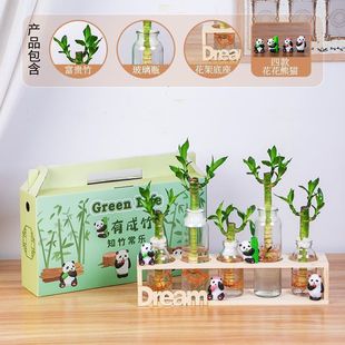 &empty;���F��ˮ��ֲ���k�������⻨�ܾG�}�k���Һ��B�Gֲ�lؔ��������