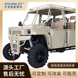 其他电动车;电动观光车;乘用车