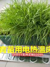 ������늟�ش��߲�ѿ��˻��Բ�Ƥ����PѨ