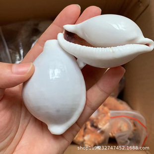 ��ؐ����Ȼ����ؐ�����l ������������� ؐ���˱��ղؾӼҔ[��