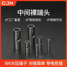 CJH冷压端子BN14紫铜中间裸接头接线端子铜鼻子端头线耳铜管TL型