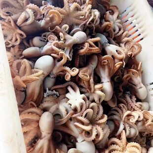 ������S���]�����צ�~����С���~���^�L�ȷ����}���צ�~