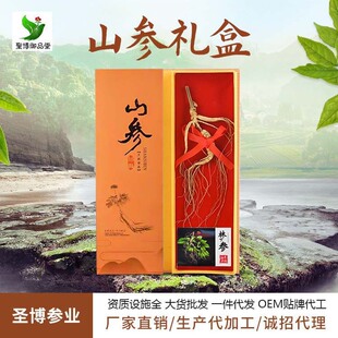 �L��ɽ�˅��Y�� �S�����l�|���خa ����ɽ�� �˅��Y�� ���ӹ��N��